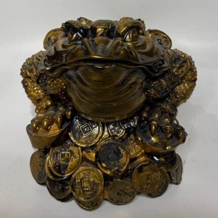 Жаба на деньгах 24см